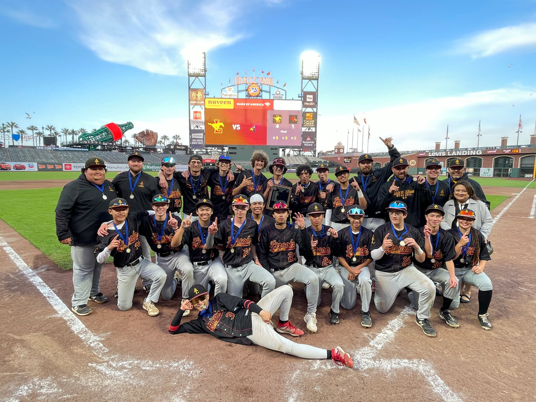 Congratulations to the Lincoln Mustangs on their ​Baseball Championship!!!​